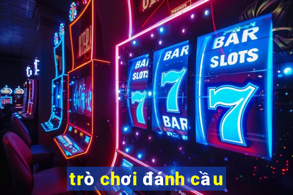 trò chơi đánh cầu