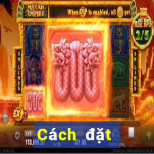 Cách đặt cược XSMT Thứ 6