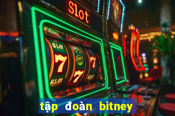 tập đoàn bitney fans club lừa đảo