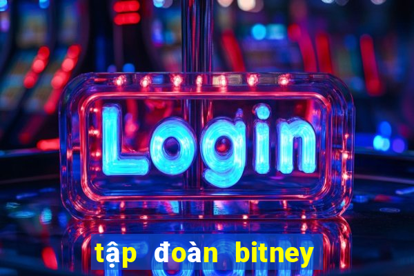 tập đoàn bitney fans club lừa đảo