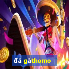 đá gà thomo