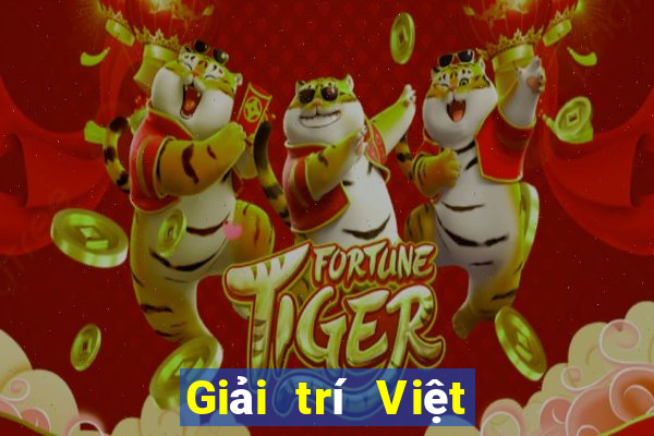 Giải trí Việt nam Dingfa