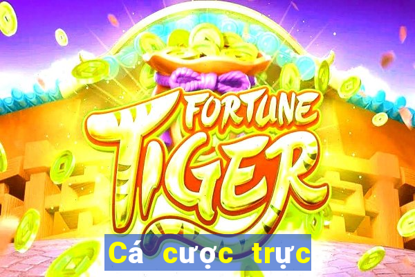 Cá cược trực tuyến aw8