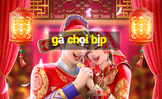 gà chọi bịp