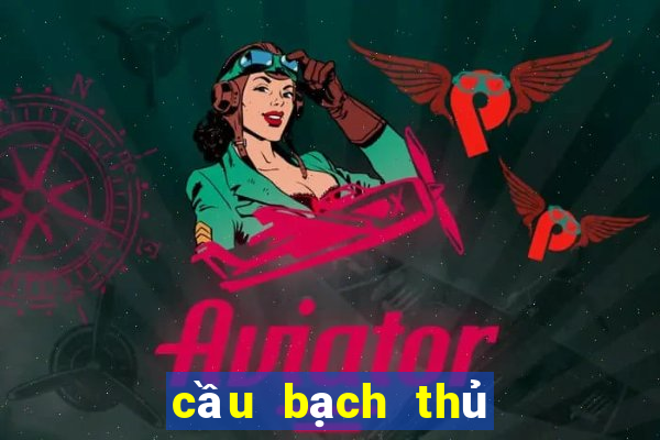 cầu bạch thủ đề miền bắc