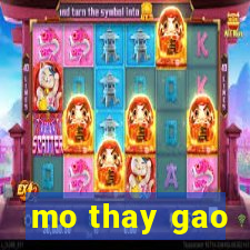 mo thay gao