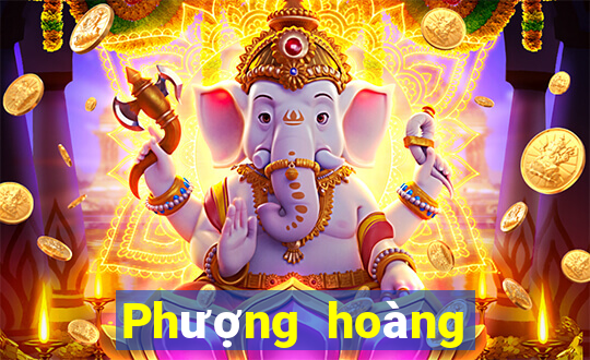 Phượng hoàng cát tường