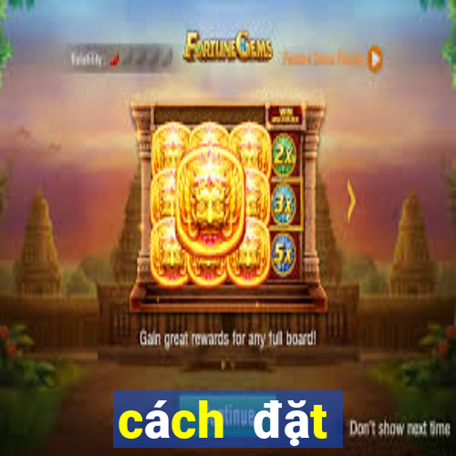 cách đặt cược xóc đĩa kubet