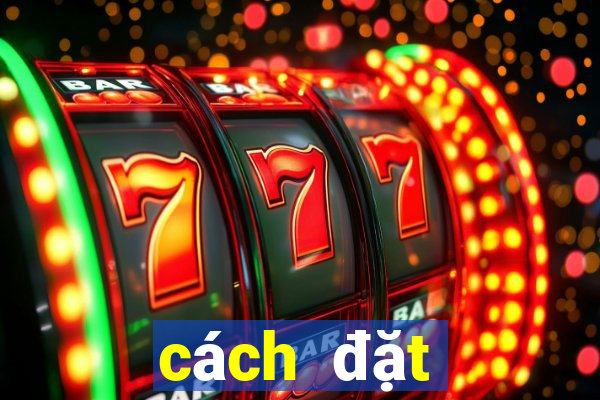 cách đặt cược xóc đĩa kubet