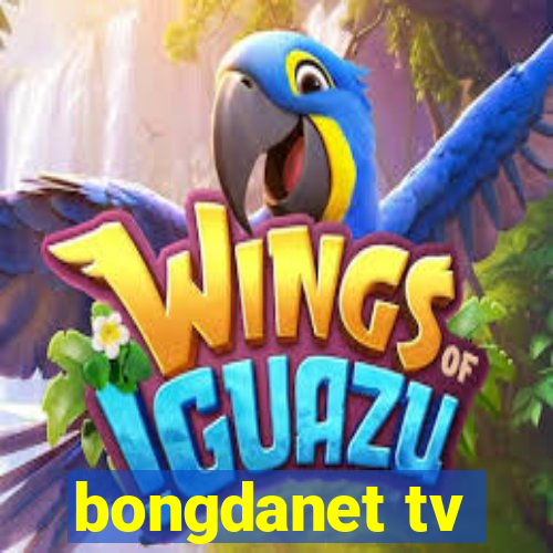 bongdanet tv