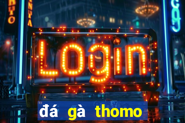 đá gà thomo trực tiếp hôm qua