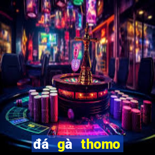 đá gà thomo trực tiếp hôm qua