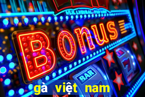 gà việt nam đá với gà thái lan