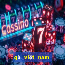 gà việt nam đá với gà thái lan