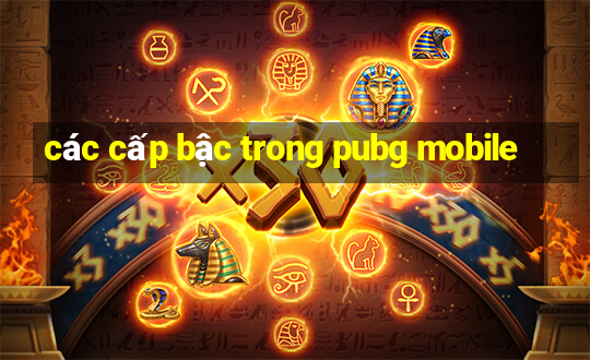 các cấp bậc trong pubg mobile