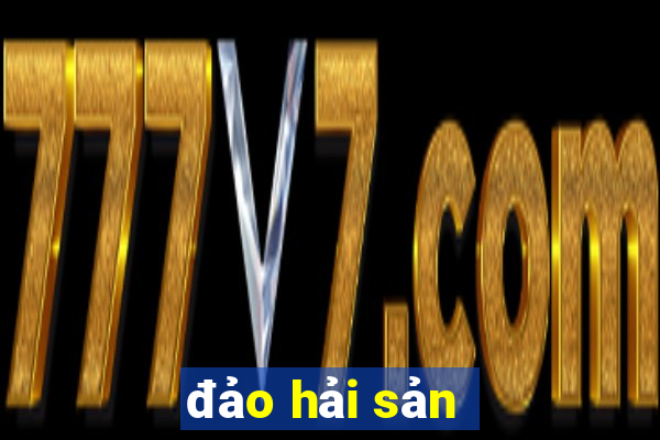 đảo hải sản