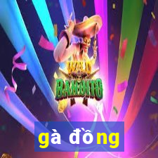 gà đồng