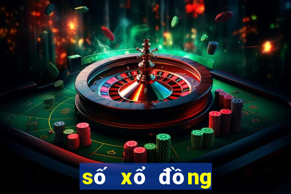 so xo dong thap hom nay