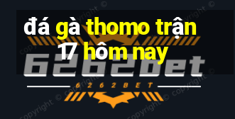 đá gà thomo trận 17 hôm nay