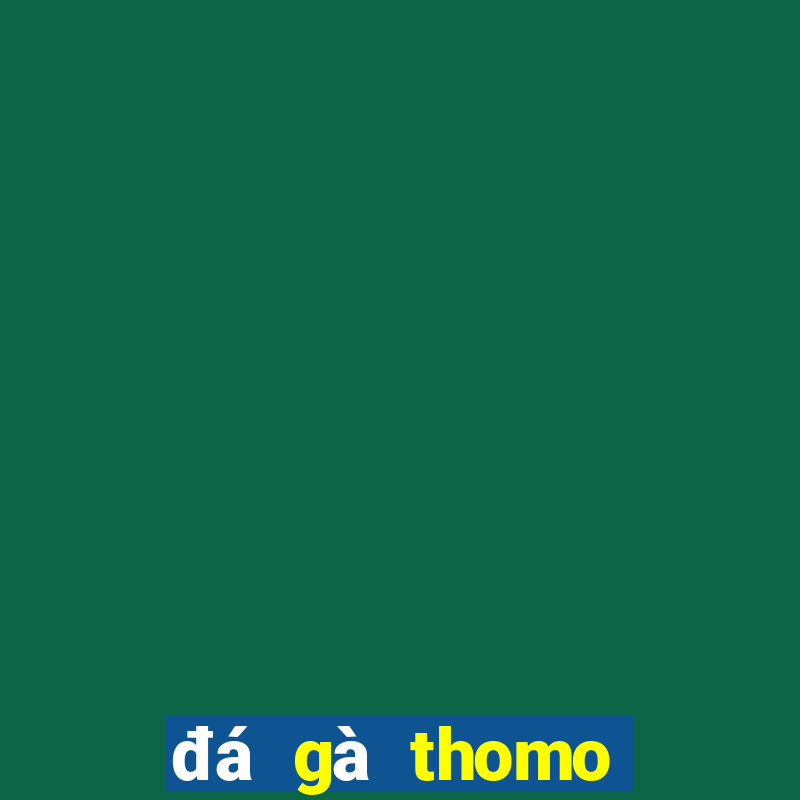 đá gà thomo trận 17 hôm nay