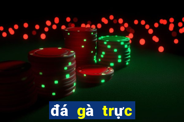 đá gà trực tiếp casino 999