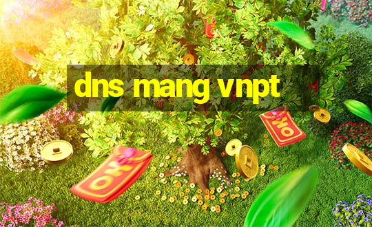 dns mang vnpt