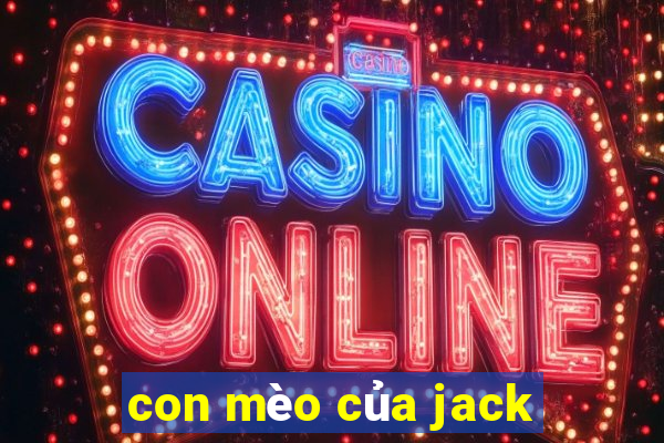 con mèo của jack