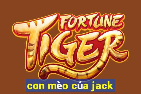 con mèo của jack