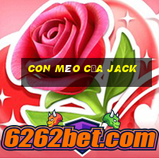 con mèo của jack