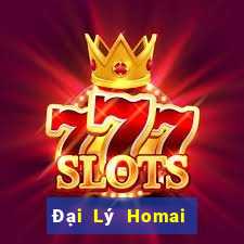 Đại Lý Homai game bài tướng