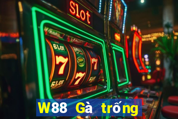 W88 Gà trống lớn xếp ngũ táo