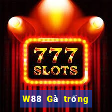 W88 Gà trống lớn xếp ngũ táo