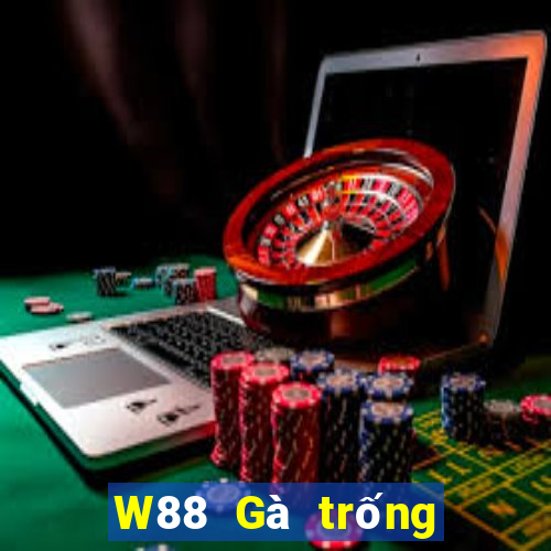 W88 Gà trống lớn xếp ngũ táo