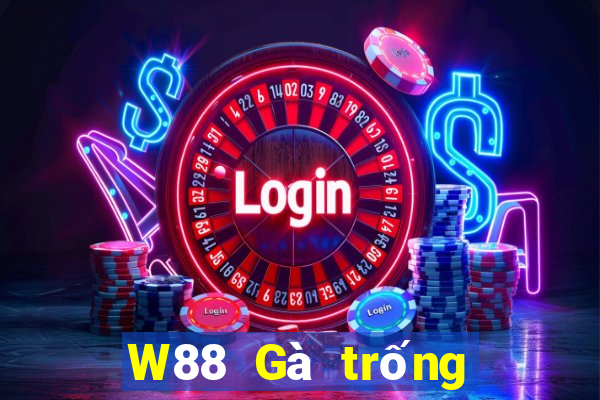 W88 Gà trống lớn xếp ngũ táo