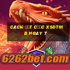 Cách đặt cược XSDTMB ngày 7