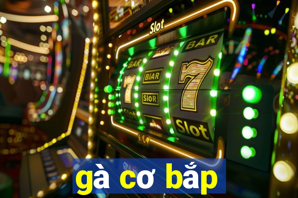 gà cơ bắp