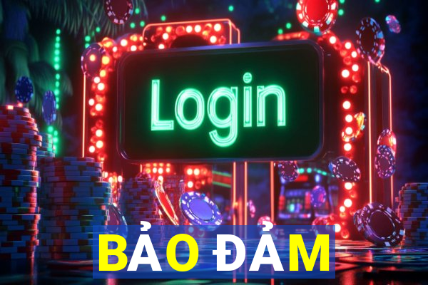 BẢO ĐẢM