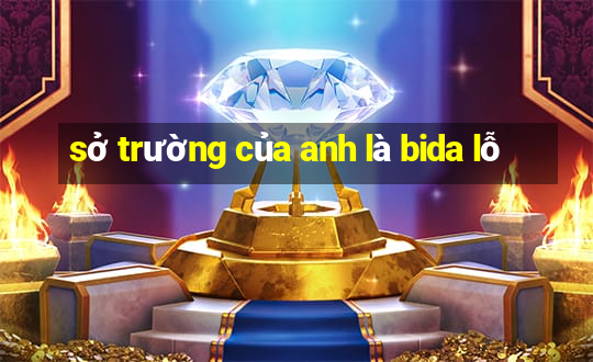 sở trường của anh là bida lỗ