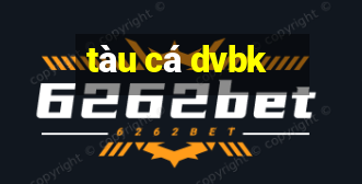 tàu cá dvbk