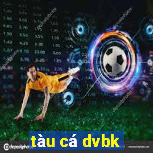 tàu cá dvbk