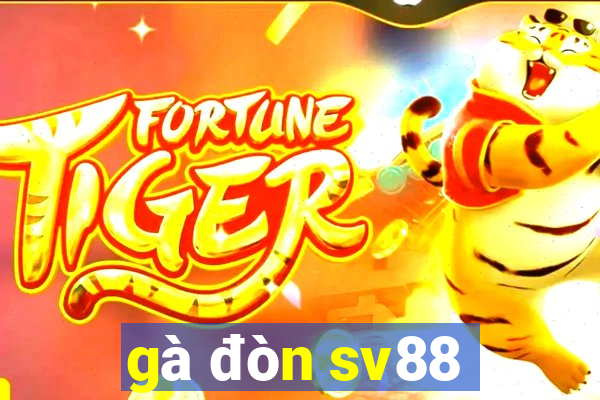 gà đòn sv88