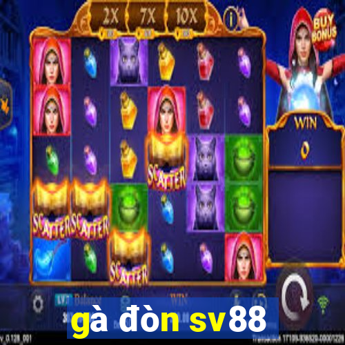 gà đòn sv88