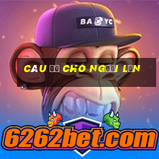 câu đố cho người lớn