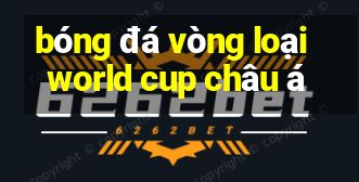 bóng đá vòng loại world cup châu á