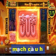 mạch cầu h