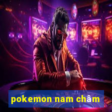 pokemon nam châm