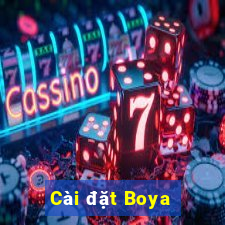 Cài đặt Boya