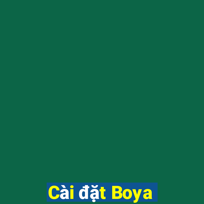 Cài đặt Boya