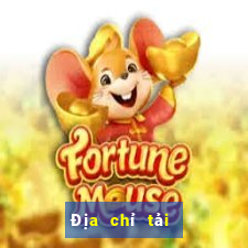 Địa chỉ tải game bg giải trí