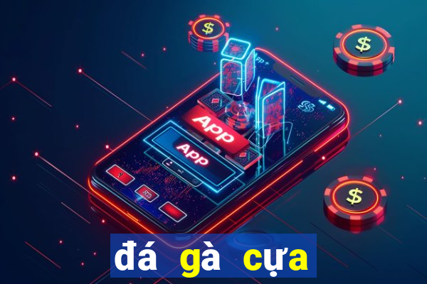 đá gà cựa sắt trực tiếp